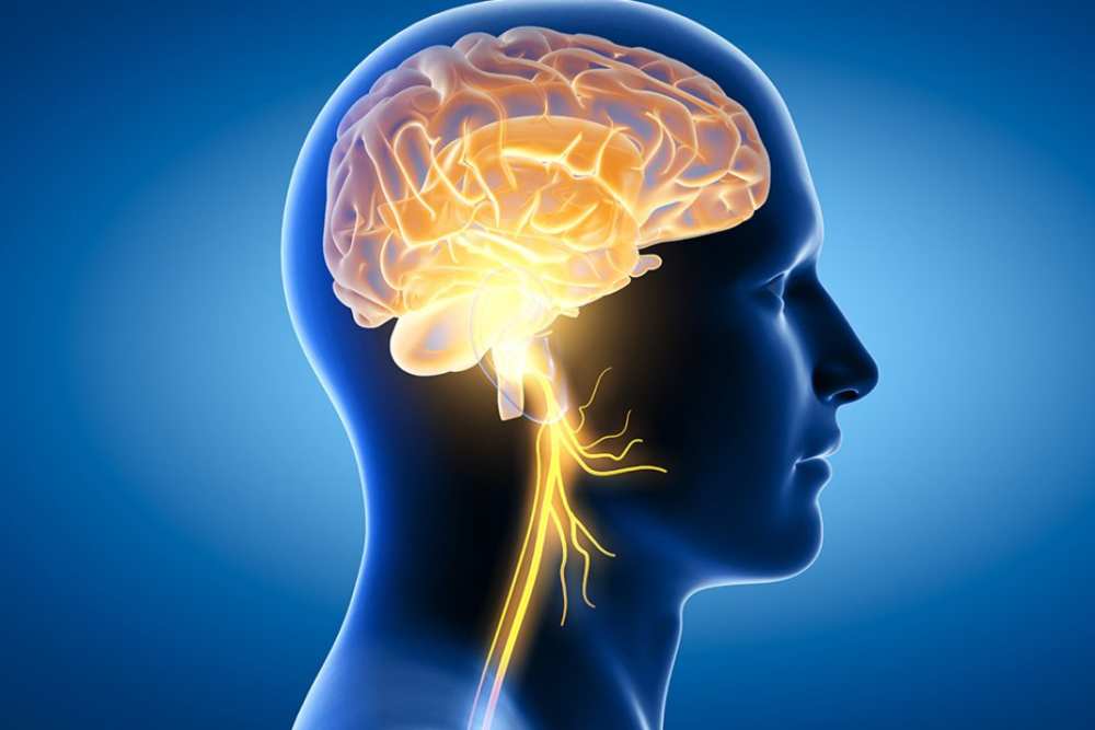  8 Tips Sehat Cegah Pikun Sejak Dini
