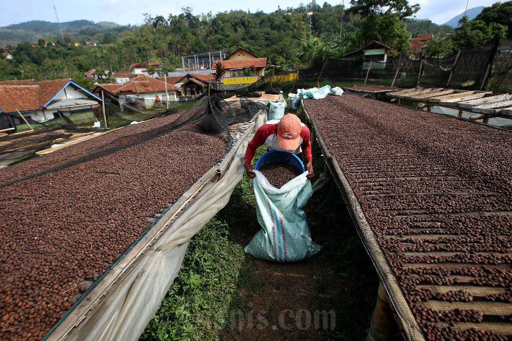  DIY Dorong Transformasi Industri Kopi Berbasis Budaya