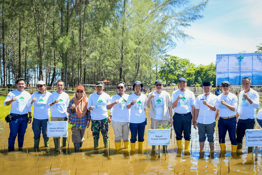  PTBA Luncurkan Mangrove Nexus, Jaga Pesisir dan Dorong Ekonomi Hijau
