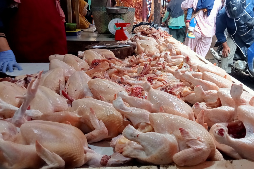  H-1 IdulAdha Harga Daging Ayam di Palembang Melonjak