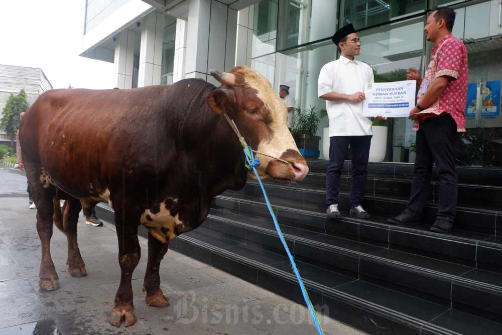  Penyerahan Hewan Kurban Untuk Masyarakat