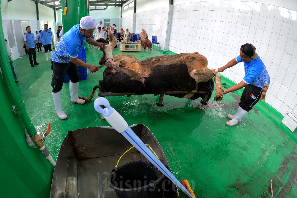  Pemkab Bandung Barat Ajak Warga Manfaatkan RPH Untuk Sembelih Hewan Kurban
