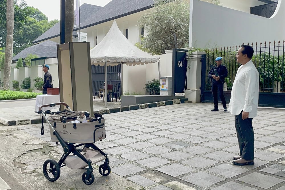 Kucing kesayangan Prabowo yang bernama Bobby Kertanegara justru terlihat keluar rumah untuk jalan-jalan sore, Jumat (6/6/2025). Bisnis - Akbar Evandio