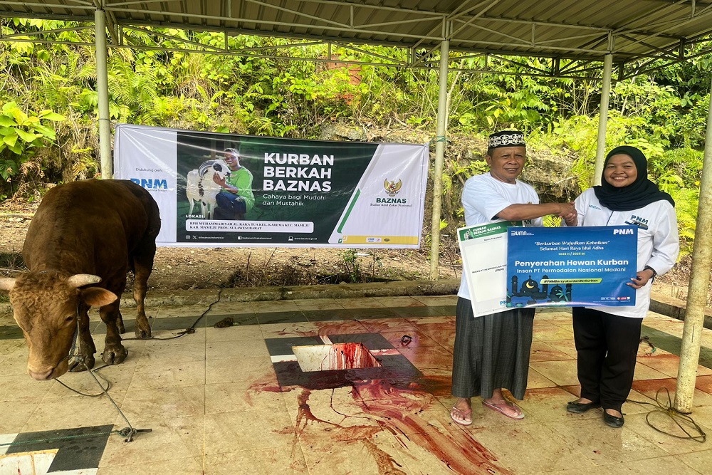  Kolaborasi PNM dan BAZNAS Salurkan Hewan Kurban untuk Masyarakat 3T