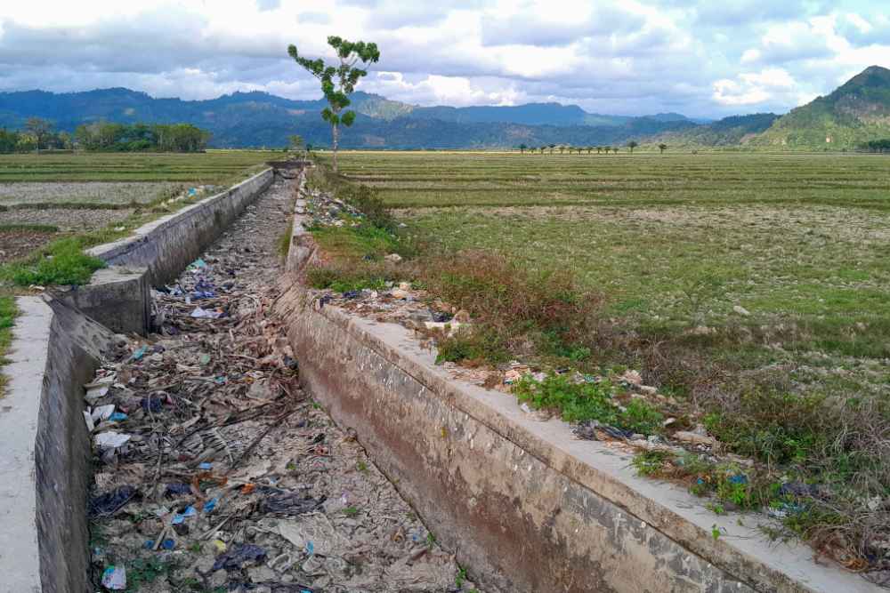 Kekeringan di Pesisir Selatan Sumbar, Petani Tak Bisa Garap Sawah Sejak Januari 2025
