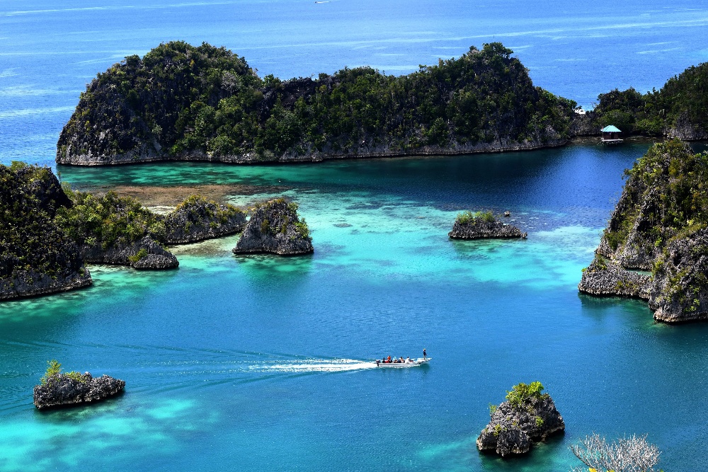  Menteri LH Usut Indikasi Pidana 4 Izin Tambang Nikel Raja Ampat