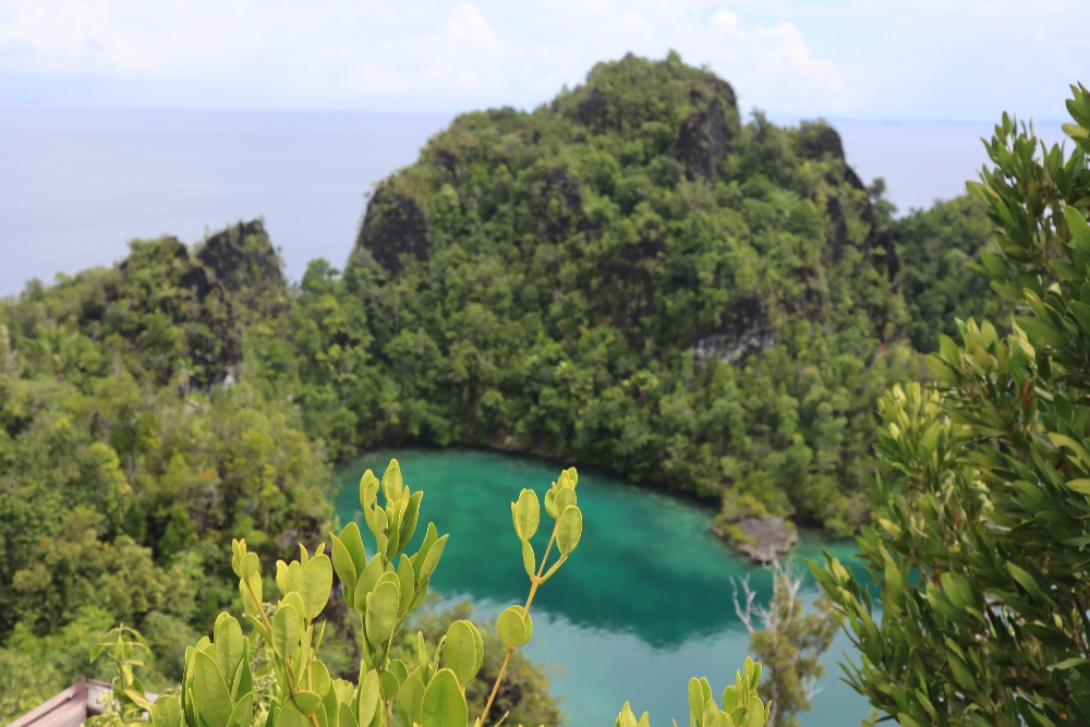  Memulihkan Kelestarian Ekologis Akibat Tambang di Raja Ampat