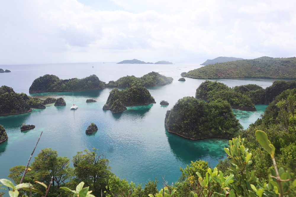  Menimbang Kontribusi Tambang Gag Nikel di Raja Ampat terhadap Cuan Antam (ANTM)