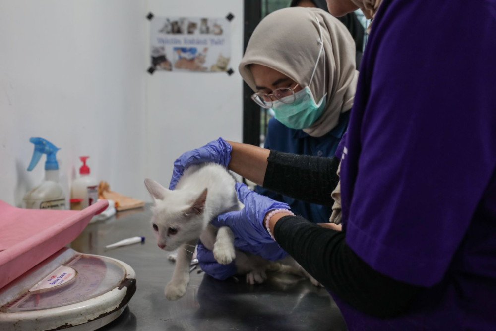  Wacana Program Subsidi Kesehatan Hewan
