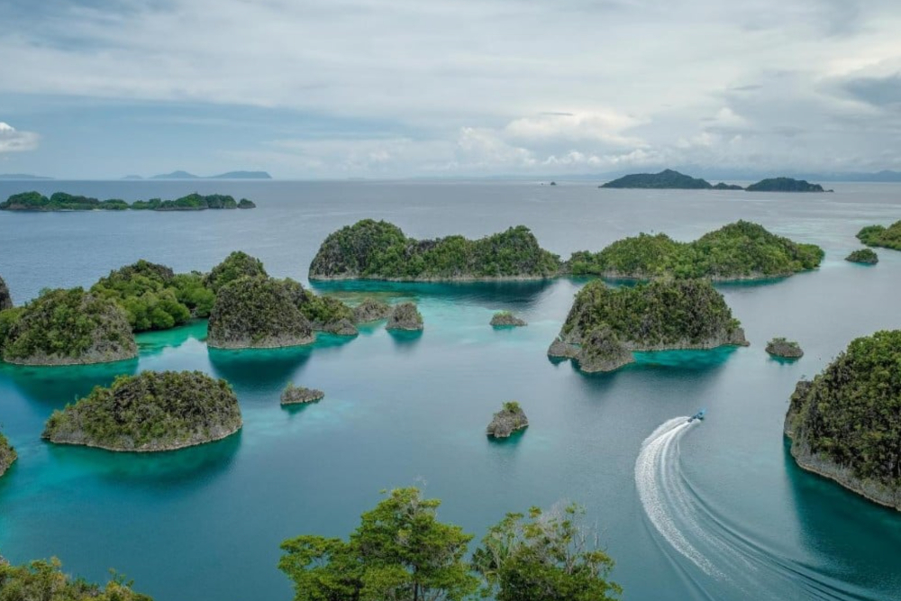  Greenpeace Ungkap Ada 16 Izin Tambang Nikel di Raja Ampat