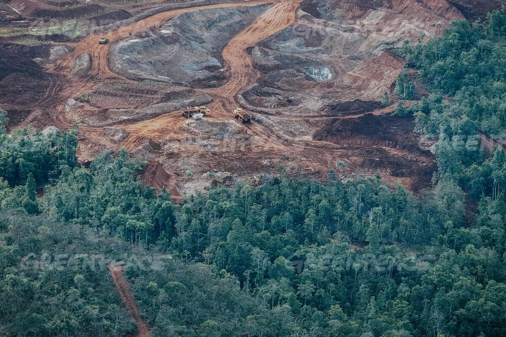  Greenpeace Minta Hentikan Rencana Proyek Smelter Sorong dan Cabut Izin Gag Nikel