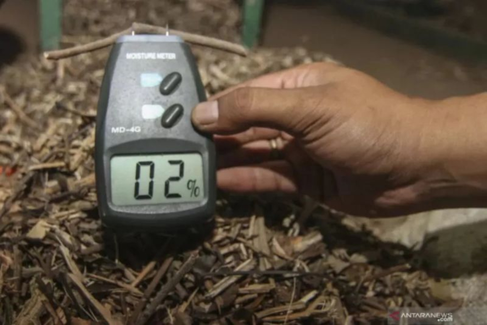  Palm Kernel Shell dan Wood Pellet RI Raup Transaksi Rp1,04 Triliun di Jepang