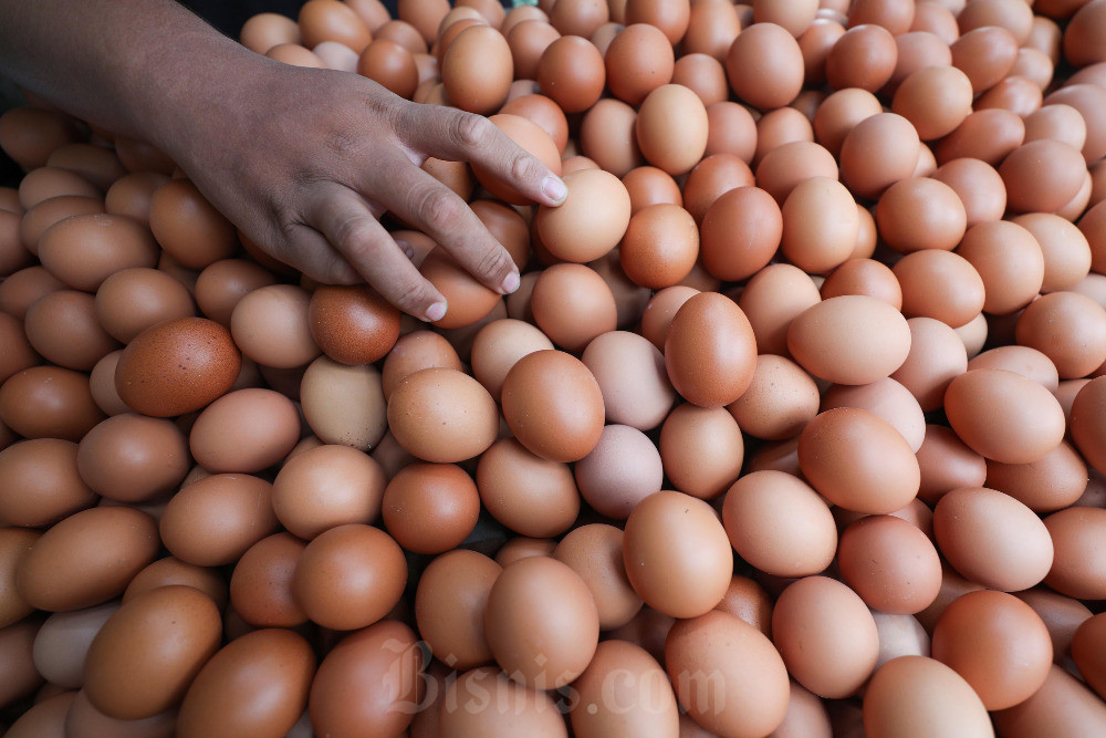  Harga Ayam dan Telur Makin Jatuh, Bapanas Beri Sinyal Waspada