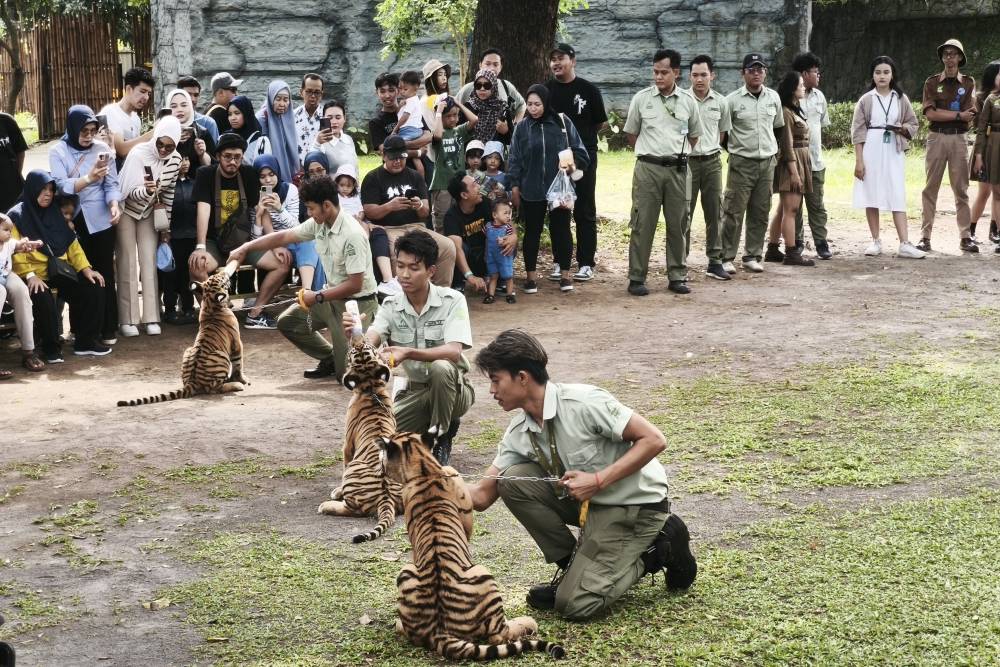  Solo Safari Siapkan Aneka Promo dan Program Sambut Liburan Sekolah