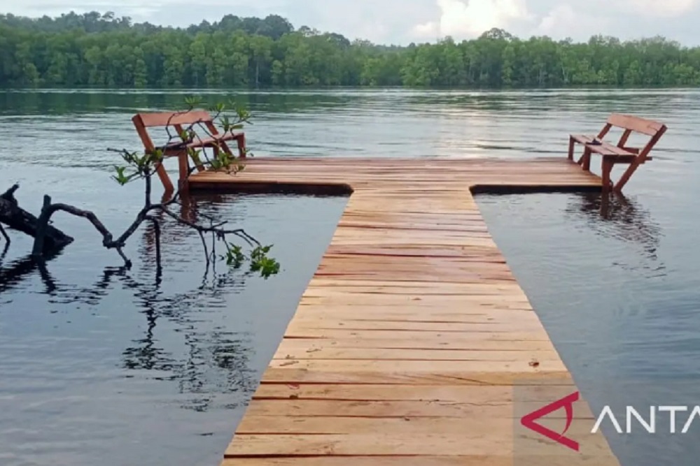  Keasrian Hutan di Kepulauan Mentawai Sumbar Terancam Dirusak