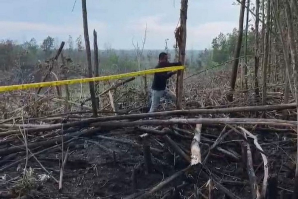  Deforestasi di Tesso Nilo, Kapolda Riau Tegaskan Komitmen Tindak Pelaku
