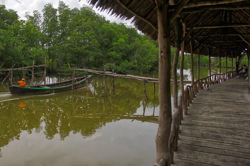  Mantan Pembalak Mangrove di Langkat Berhasil Ubah Hamparan Abu-abu Menjadi Green Economy