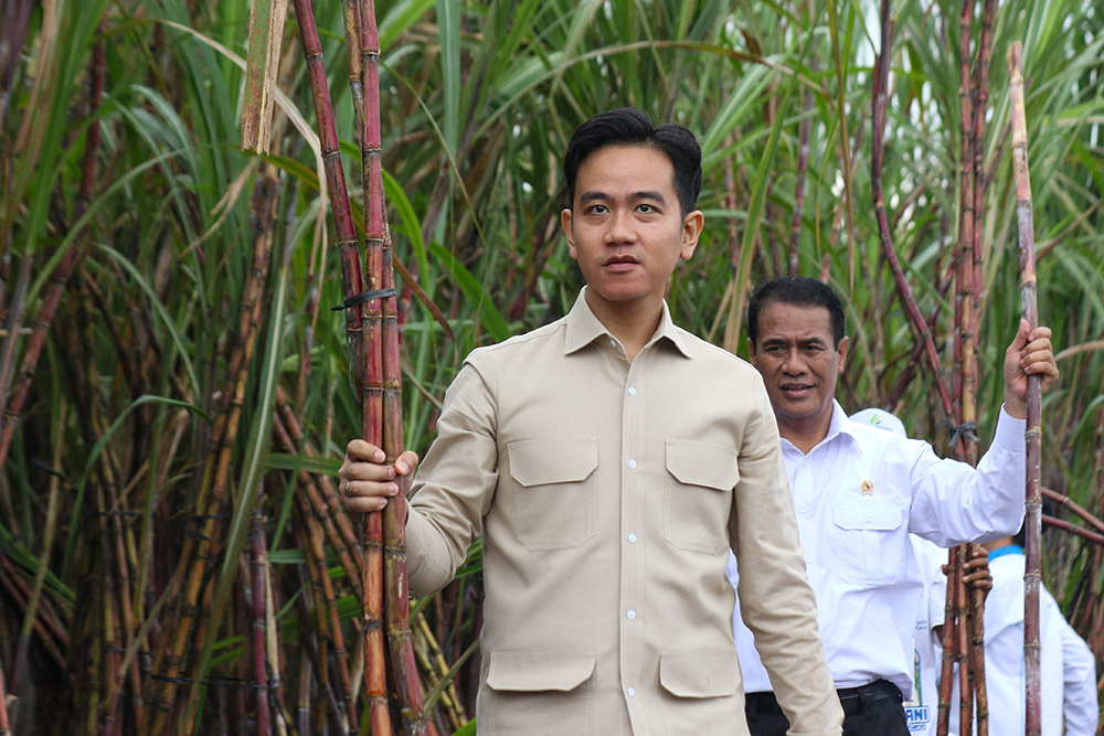  Wapres Temui Petani Tebu di Banyuwangi