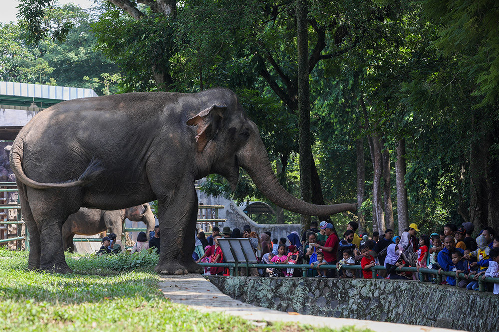  Rekomendasi Destinasi Wisata di Jakarta yang Menarik Dikunjungi saat Libur Sekolah