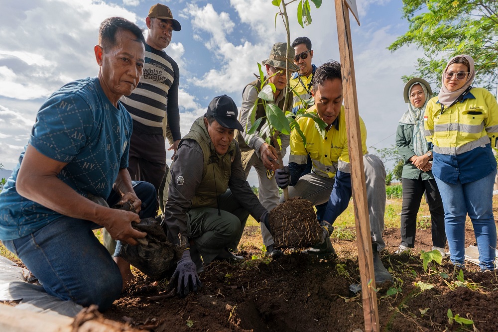  Menanam Harapan di Tepi Hutan Sumbawa Barat: Kisah AMMAN dan Masyarakat Desa Talonang