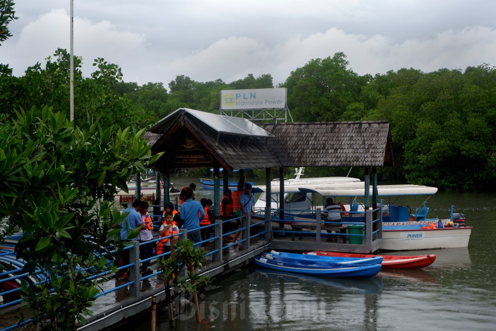  Ekowisata Mangrove Batu Lumbang Dorong Ekonomi Warga