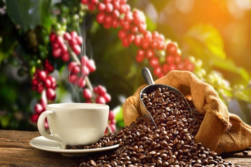  Ini 9 Makanan Termahal di Dunia, Ada Kopi Luwak Indonesia!