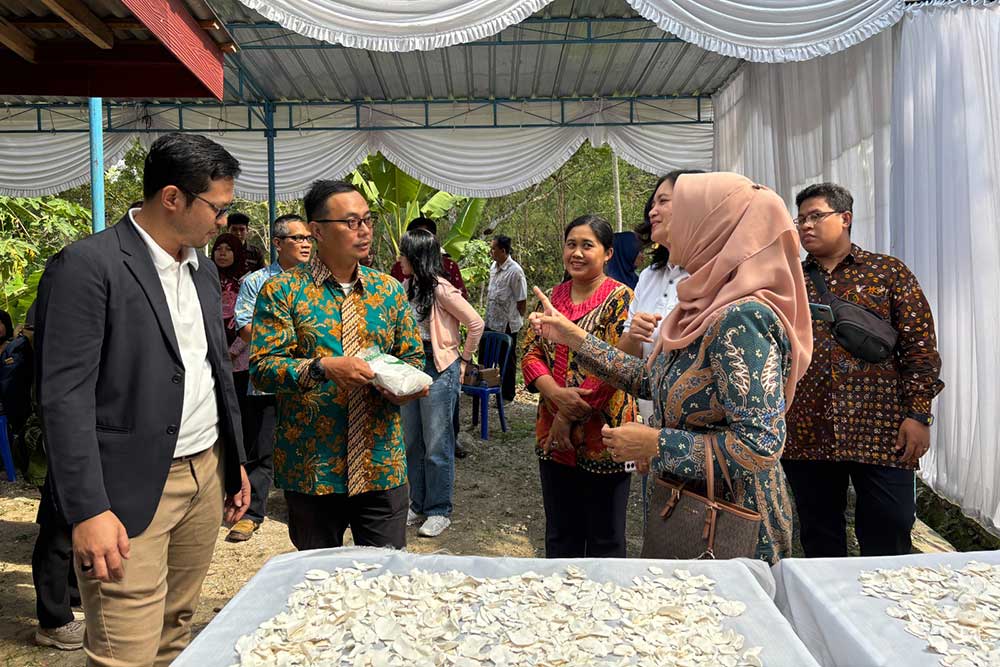  BRI Life Dorong Daya Saing dan Peningkatan Nilai Produksi Singkong