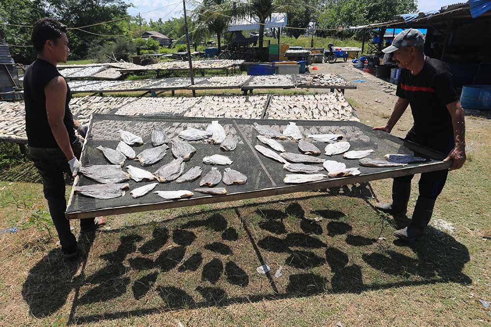  Produksi Ikan Asin Kering di Aceh Menurun Akibat Cuaca Buruk