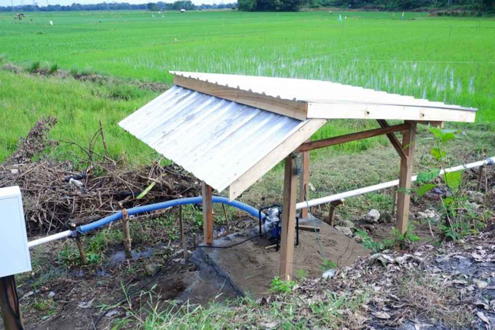  Program Electrifying Agriculture PLN di Sulselrabar Telah Jangkau 3.911 Petani