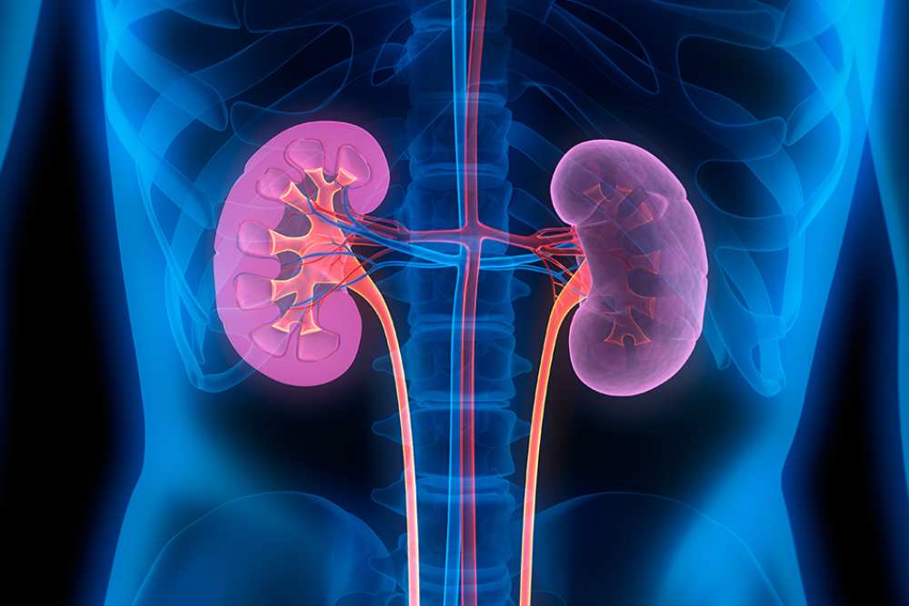  Transplantasi Ginjal Jadi Solusi Bagi Pasien Gagal Ginjal Kronis