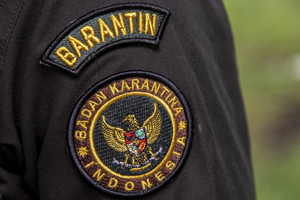  Karantina Sumbar Musnahkan 83,4 Kg Komoditas dari Malaysia dan Singapura