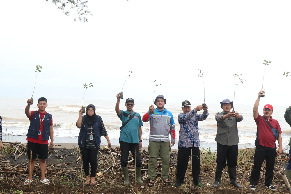  Tanam Ribuan Mangrove, PLTU Batang Dorong Ekonomi dan Ketahanan Pesisir