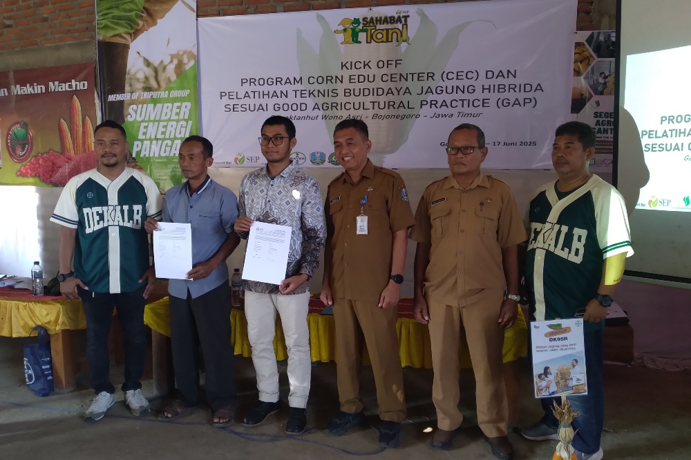  Upaya Bojonegoro Tingkatkan Produktivitas Jagung