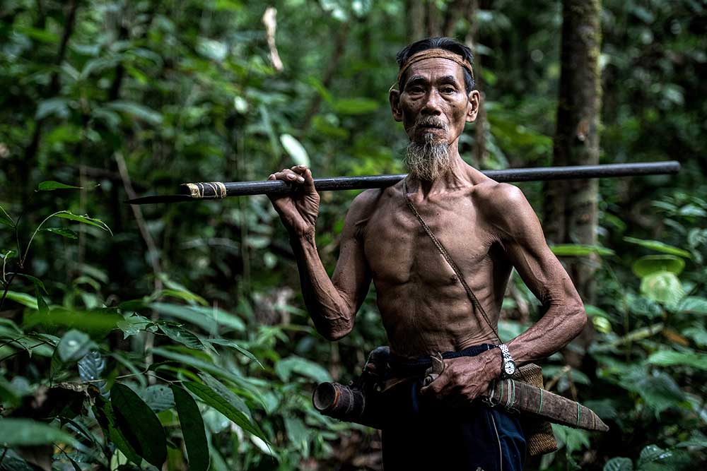 Kemenhut Petakan dan Tetapkan Hutan Adat di Sejumlah Wilayah RI
