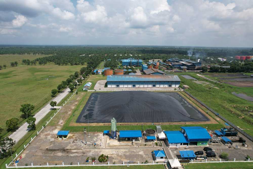  PalmCo Andalkan Digital Awasi Produksi Kebun Sawit 618.000 Hektare