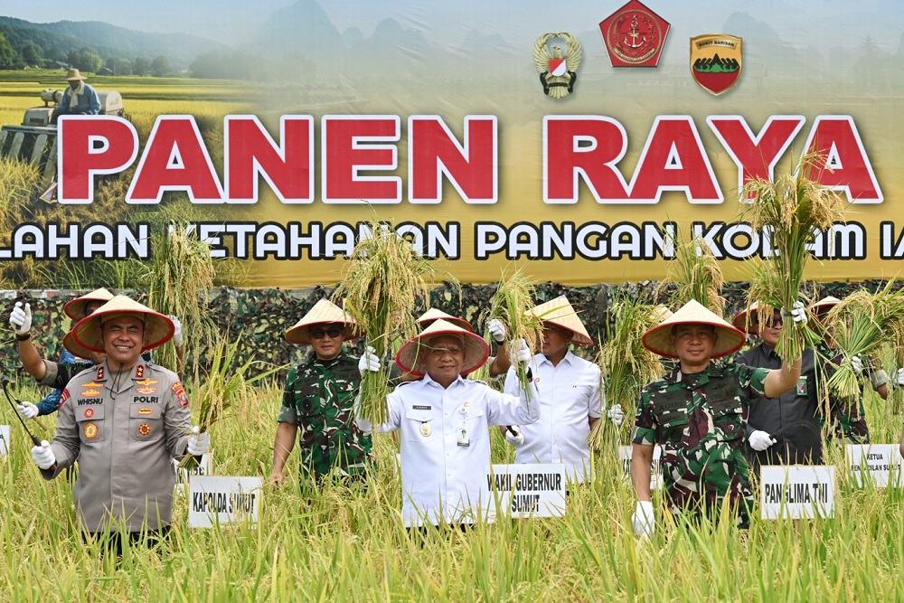 Panglima TNI Panen 80 Ha Padi di Deli Serdang, Singgung Dukungan TNI di Bidang Pangan