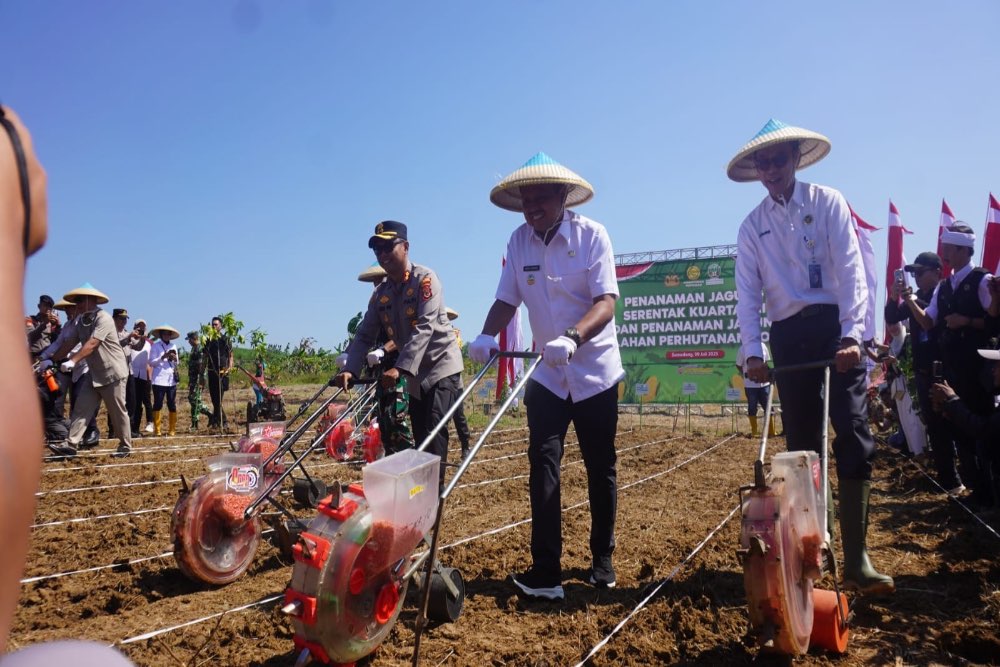 Pemkab Sumedang dan Polda Jabar Tanam Jagung di Lahan Perhutanan Sosial 70 Hektare