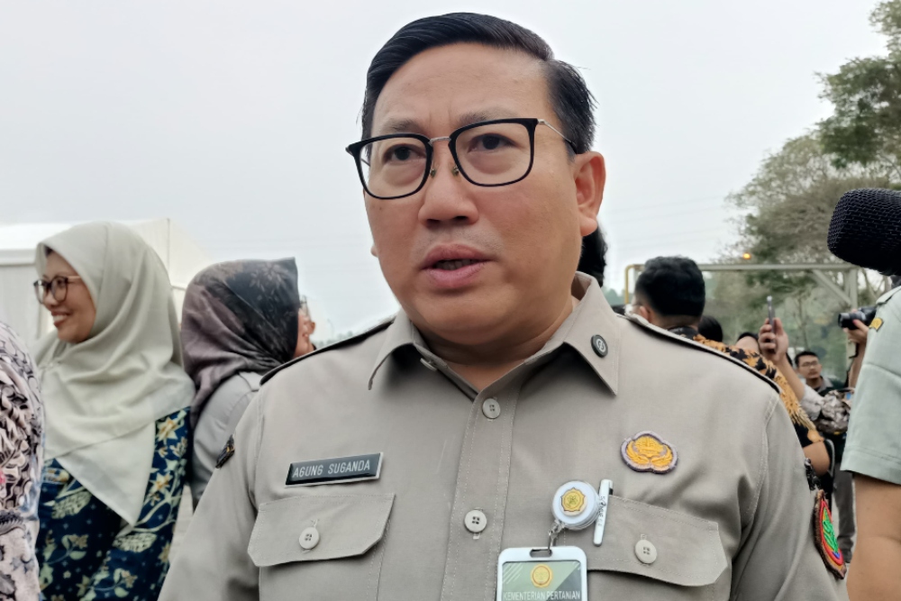  Kementan: 25.000 Ekor Sapi Impor Masuk RI hingga Juli 2025