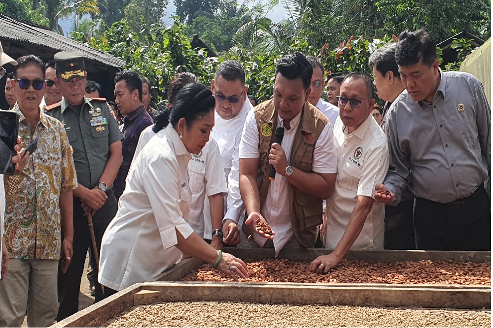  Bali Ekspor 372,3 Ton Kakao ke 10 Negara