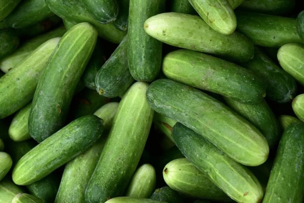  Ini Dia 3 Makanan yang Bisa Meningkatkan Fungsi Ginjal