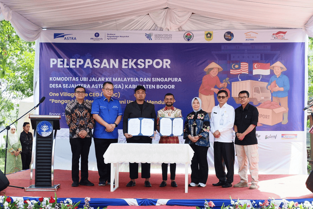  Desa Sejahtera Astra Bogor Ekspor 10 Ton Ubi ke Malaysia dan Singapura