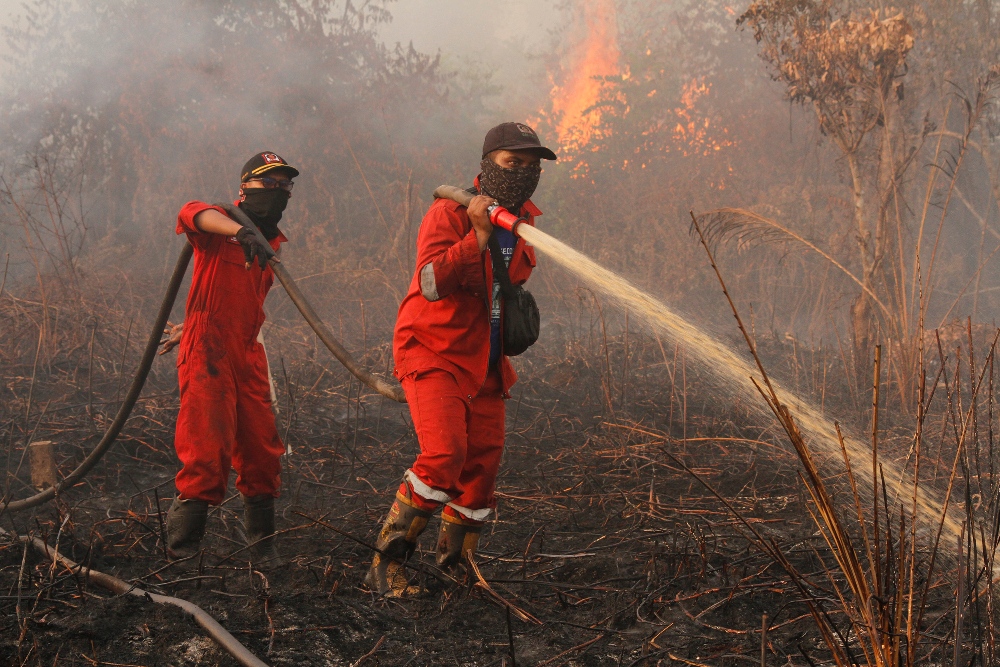 BMKG: Juli Puncak Musim Kemarau di Riau, Waspada Lonjakan Karhutla