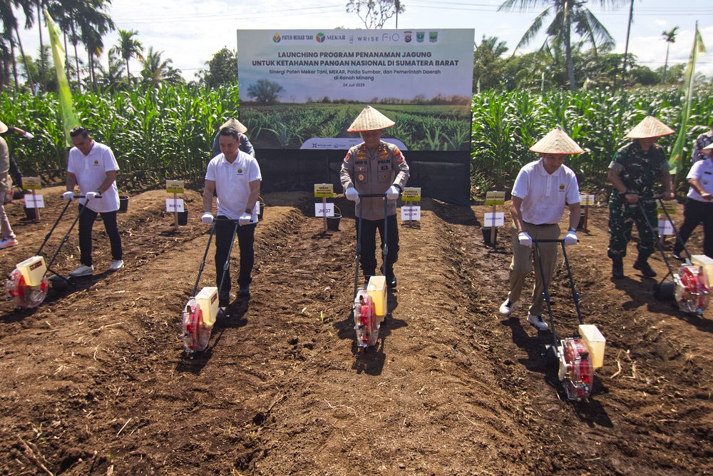 Ketahanan Pangan Nasional: Kolaborasi Lintas Sektor Tingkatkan Produksi Jagung di Sumbar