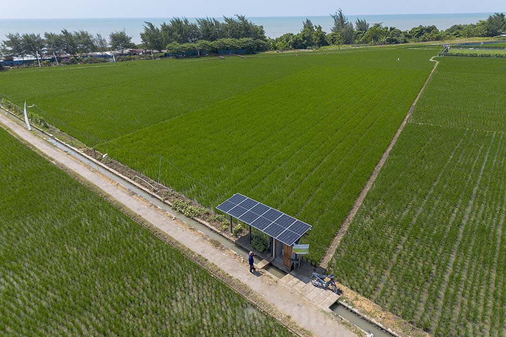 Pemerintah Kembangkan PLTS Pedesaan Untuk Percepatan Swasembada Energi