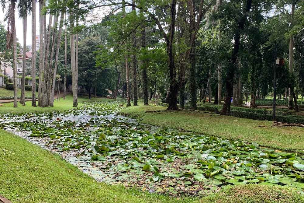 Taman Langsat yang berada di Kebayoran Baru, Jakarta Selatan/Bisnis-Restu