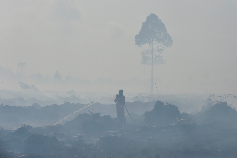 Petugas Manggala Agni Daops Kota Jambi memadamkan api kebakaran hutan dan lahan (karhutla) di lahan gambut Desa Gambut Jaya, Muaro Jambi, Jambi, Kamis (24/7/2025). Karhutla yang telah memasuki hari kelima tersebut sudah menghanguskan 250 hektare lebih lahan, sementara upaya pemadaman masih terus dilakukan Manggala Agni, BPBD, TNI/Polri, dan masyarakat. ANTARA FOTO/Wahdi Septiawan/bar