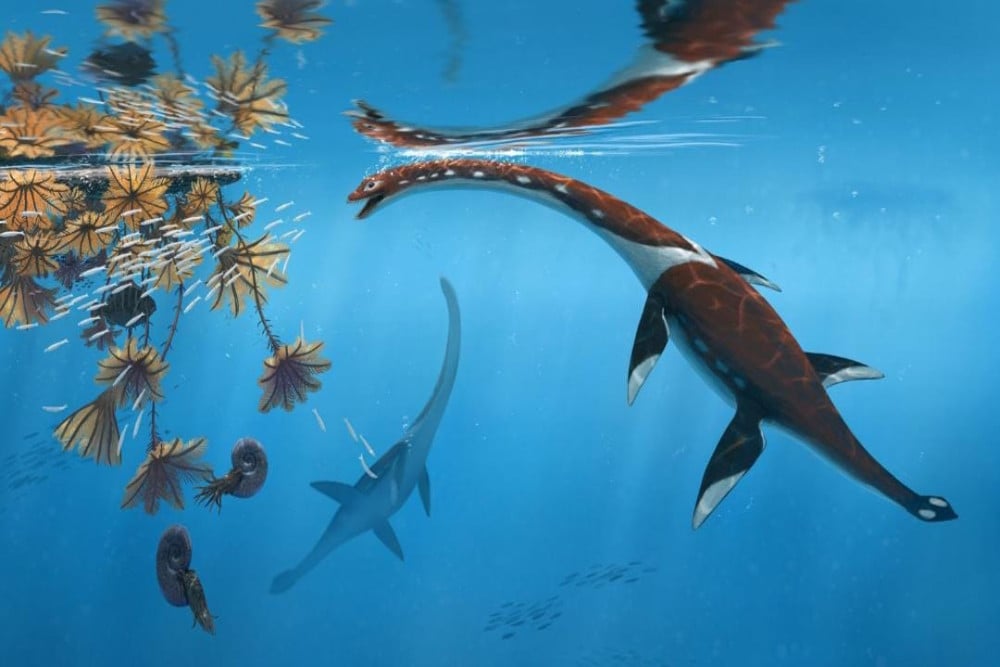 Ilustrasi Plesionectes longicollum, monster laut yang fosilinya ditemukan di Jerman /X.com