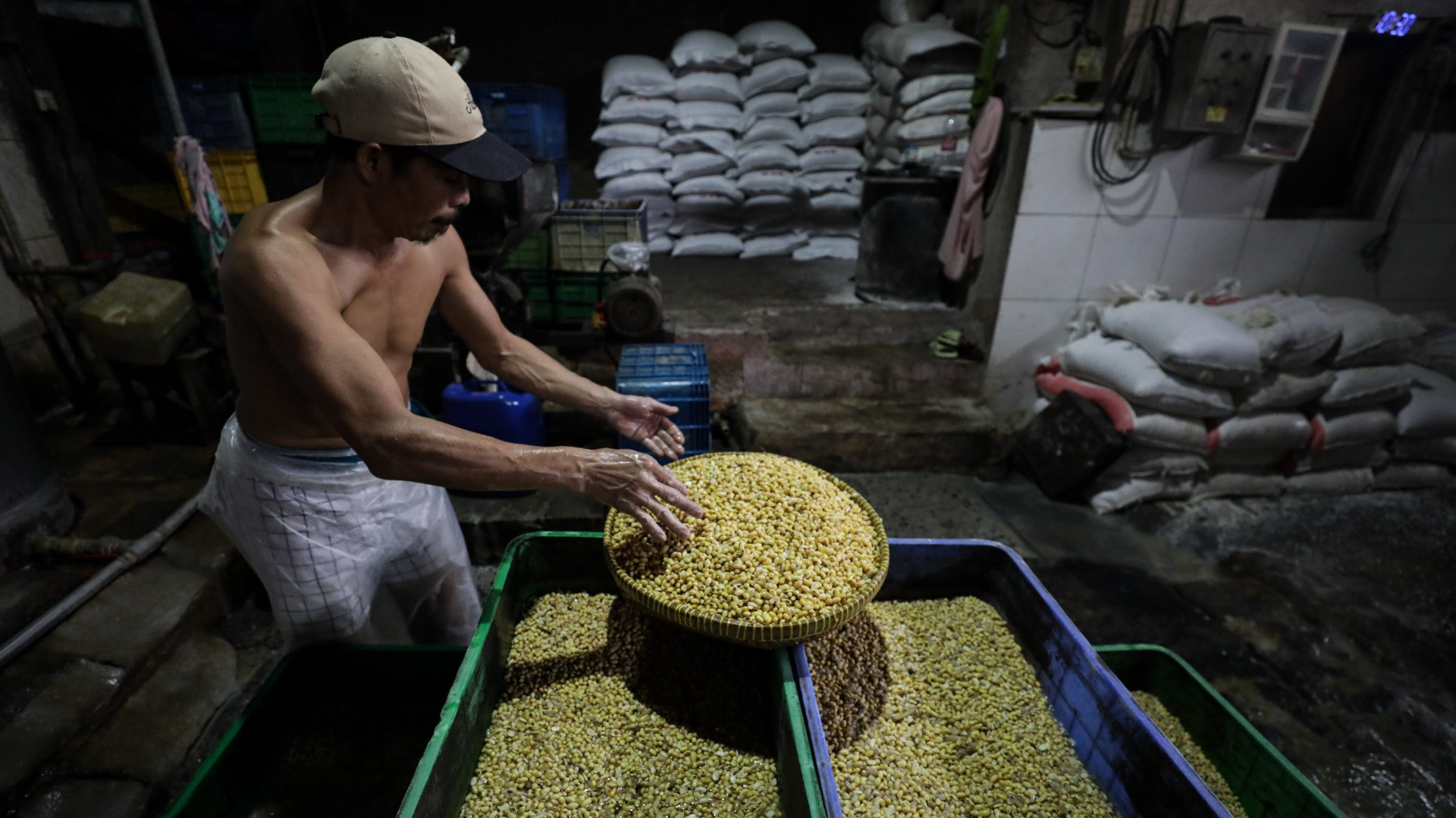 Di Tengah Perang Dagang, China Diam-diam Bermanuver di Perdagangan Kedelai