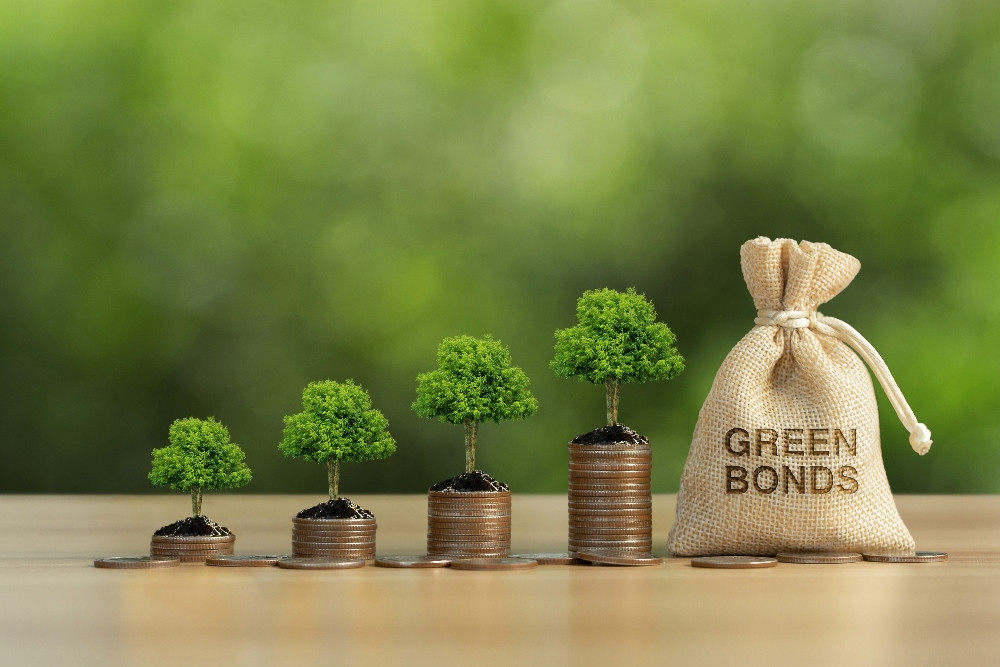 Pasar Pembiayaan ESG Inggris Tak Lagi Terpengaruh Greenwashing