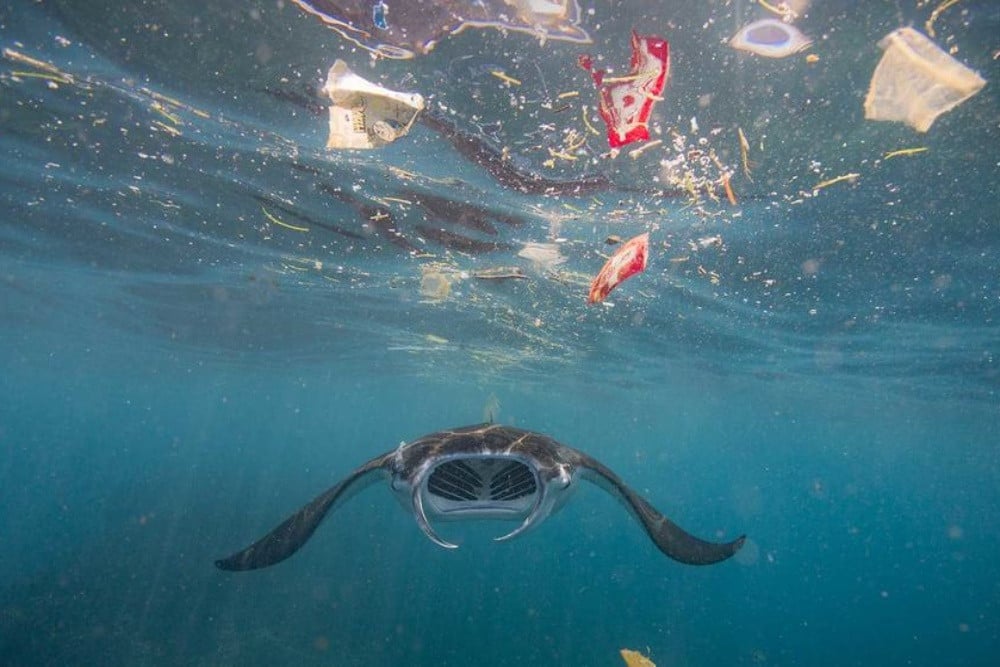 Peta Jalan Atasi Polusi Sampah, Produsen Wajib Kelola Plastik Mulai Tahun Ini